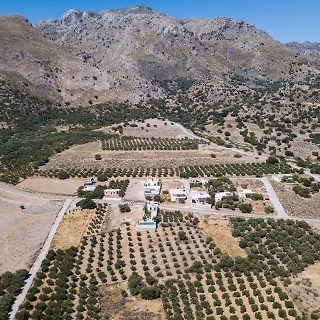 Villa Olvia Sfakiá Dış mekan fotoğraf