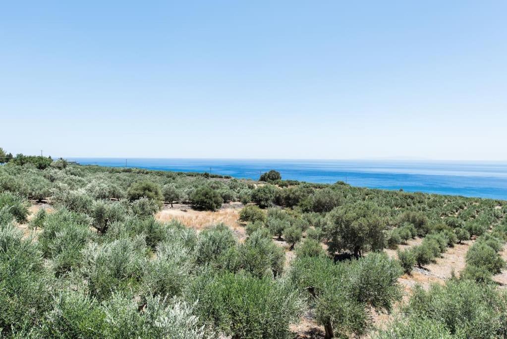 Villa Olvia Sfakiá Dış mekan fotoğraf
