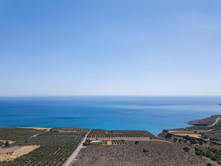 Villa Olvia Sfakiá Dış mekan fotoğraf