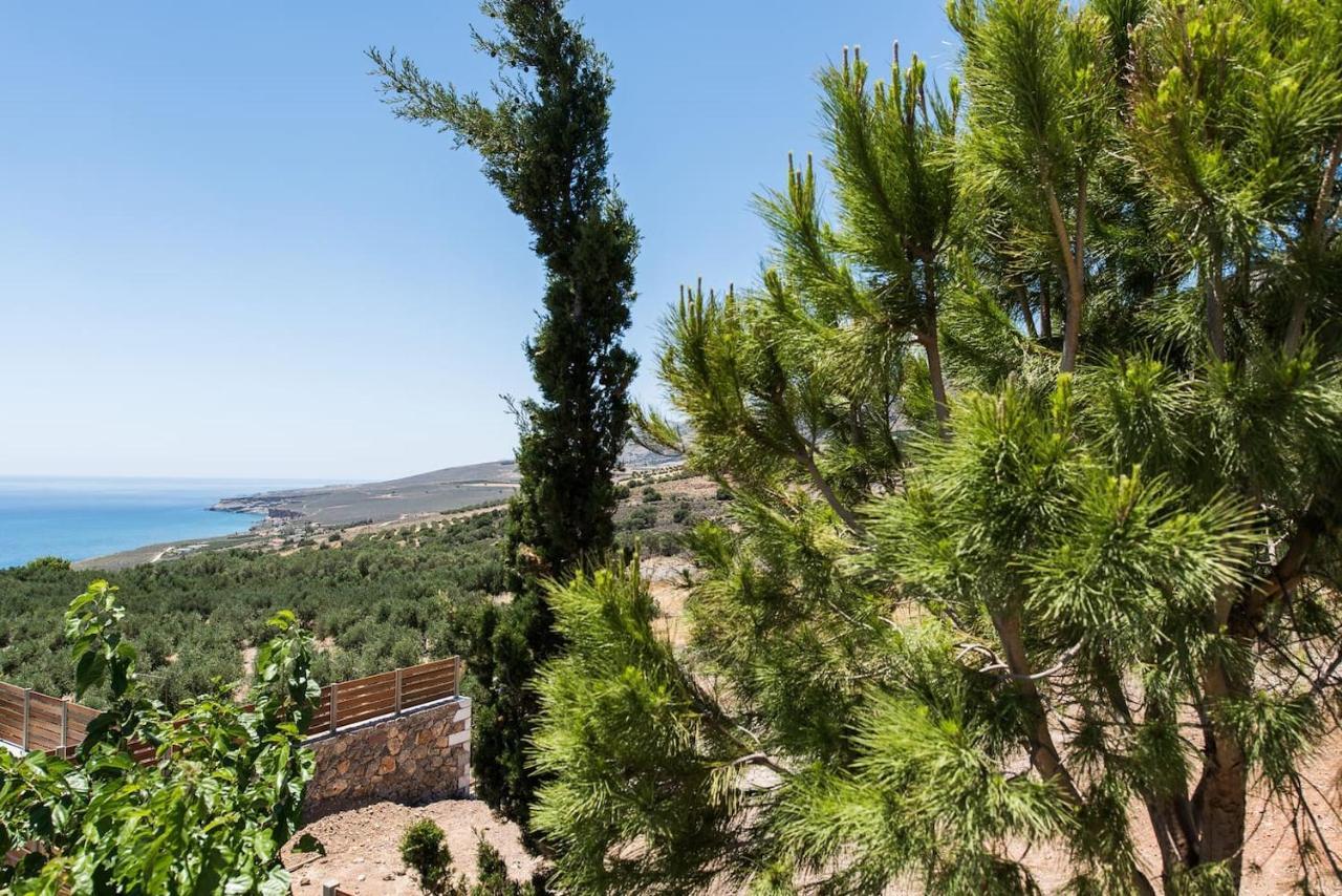Villa Olvia Sfakiá Dış mekan fotoğraf