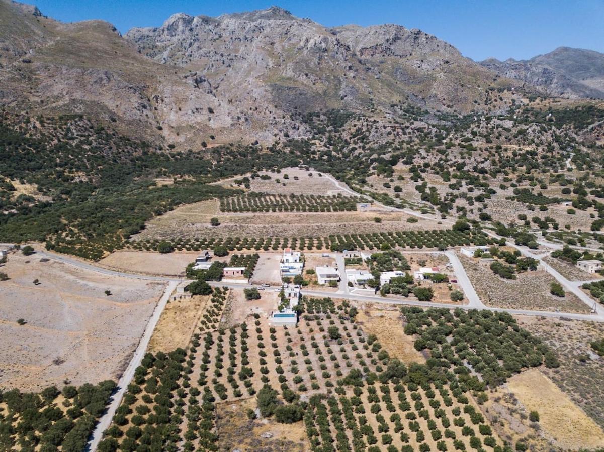 Villa Olvia Sfakiá Dış mekan fotoğraf
